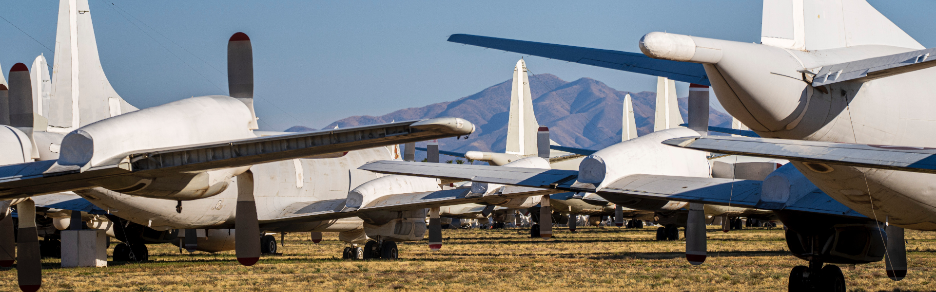 AG庄闲游戏仪器